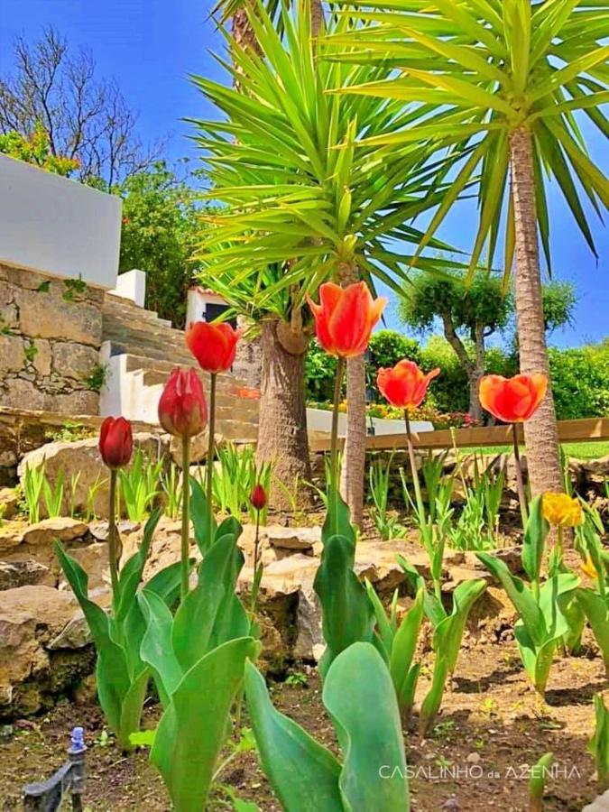 Hotel Casalinho Da Azenha - Charm House